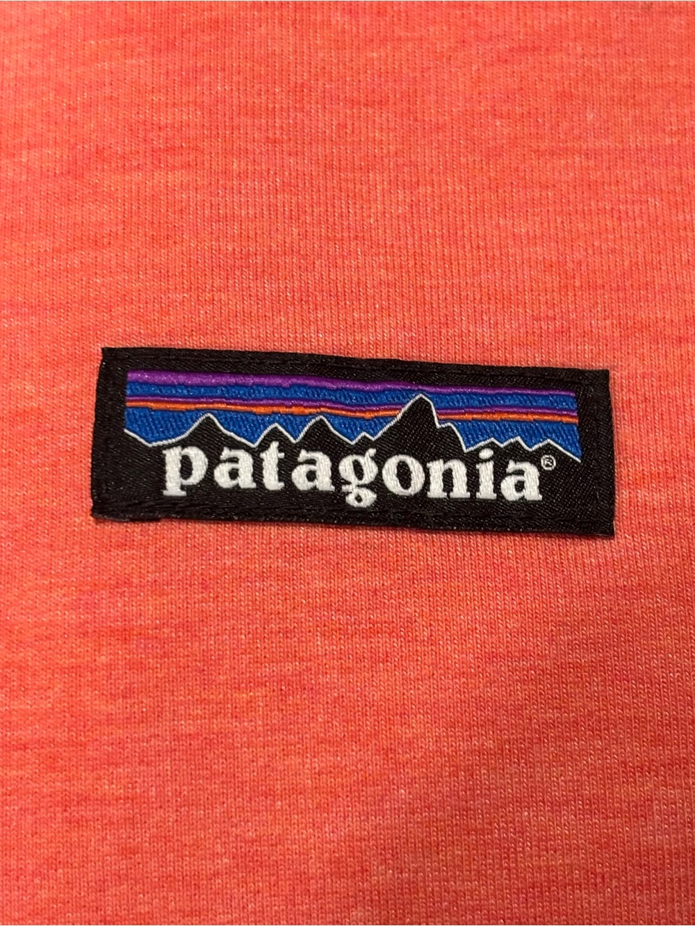 Patagonia Coral Full Zip Hoodie - Picture 3 of 4